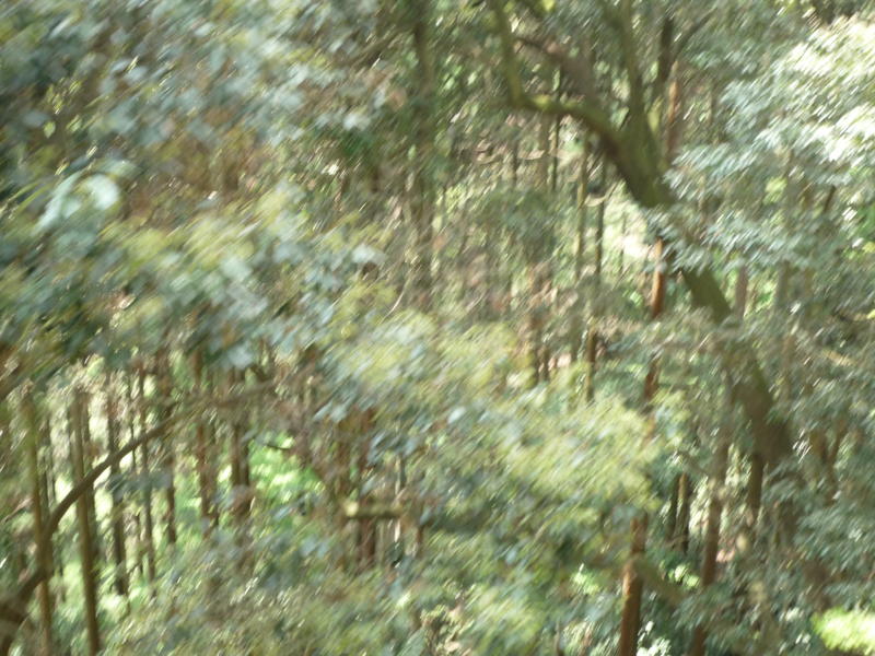 p1000159.jpg