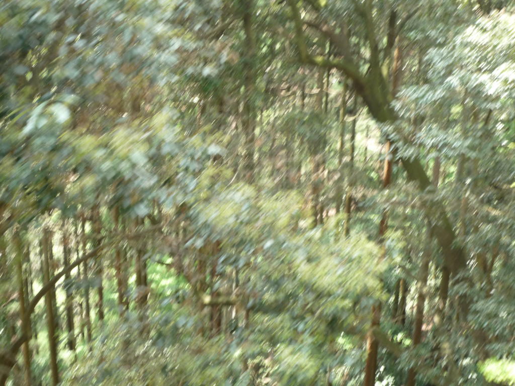 p1000159.jpg