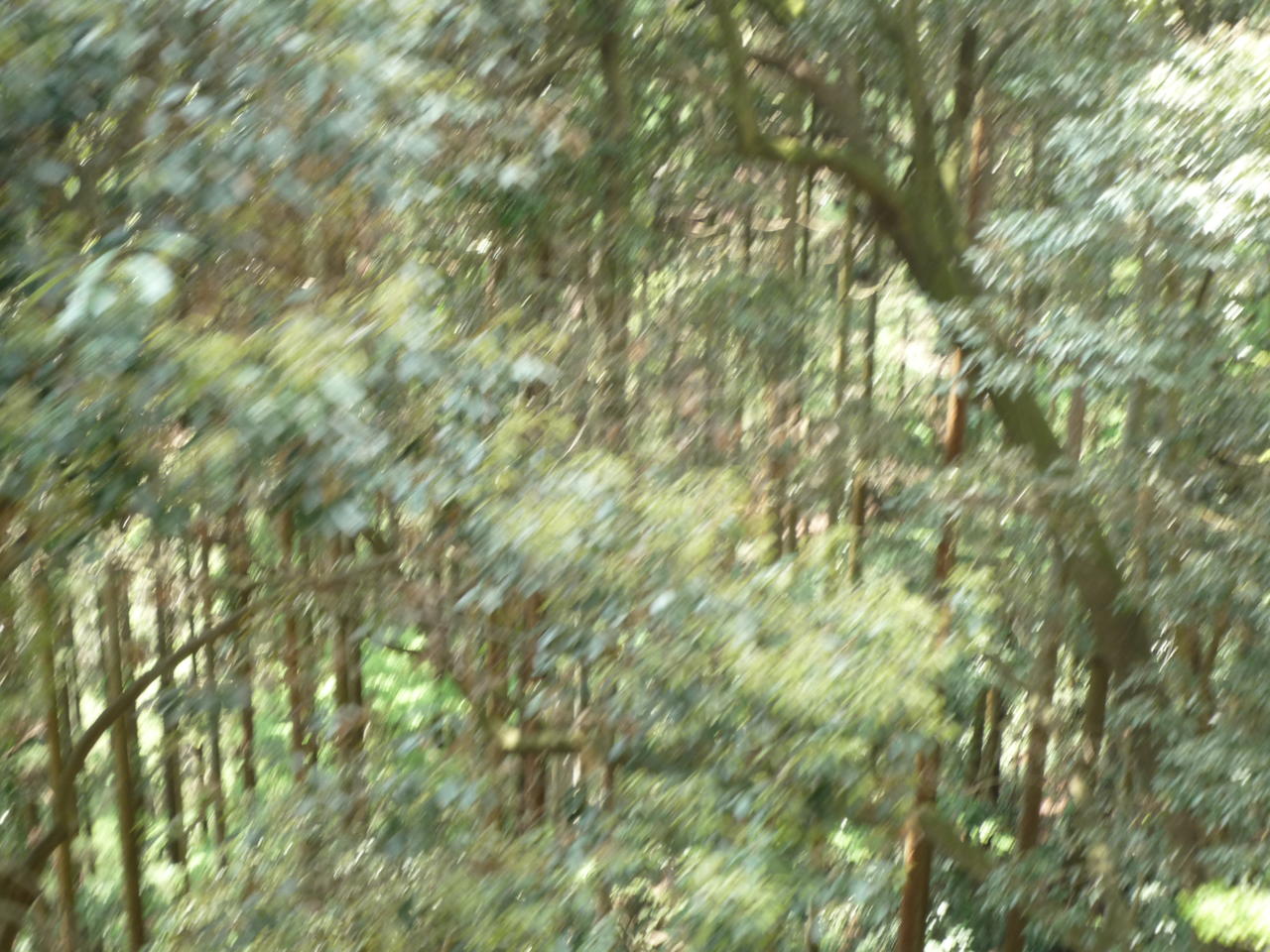 p1000159.jpg
