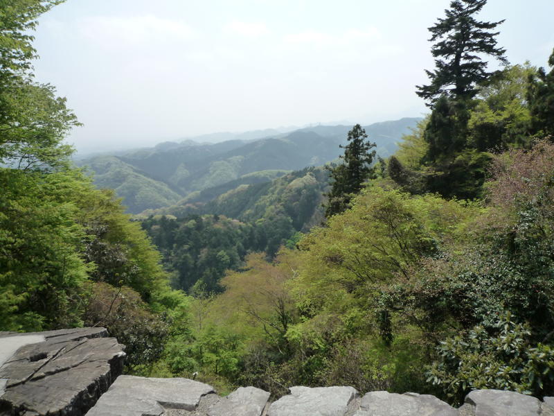 p1000162.jpg