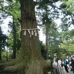 p1000163.jpg