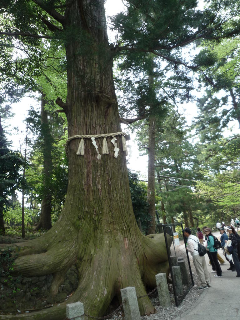 p1000163.jpg