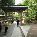 p1000164.jpg