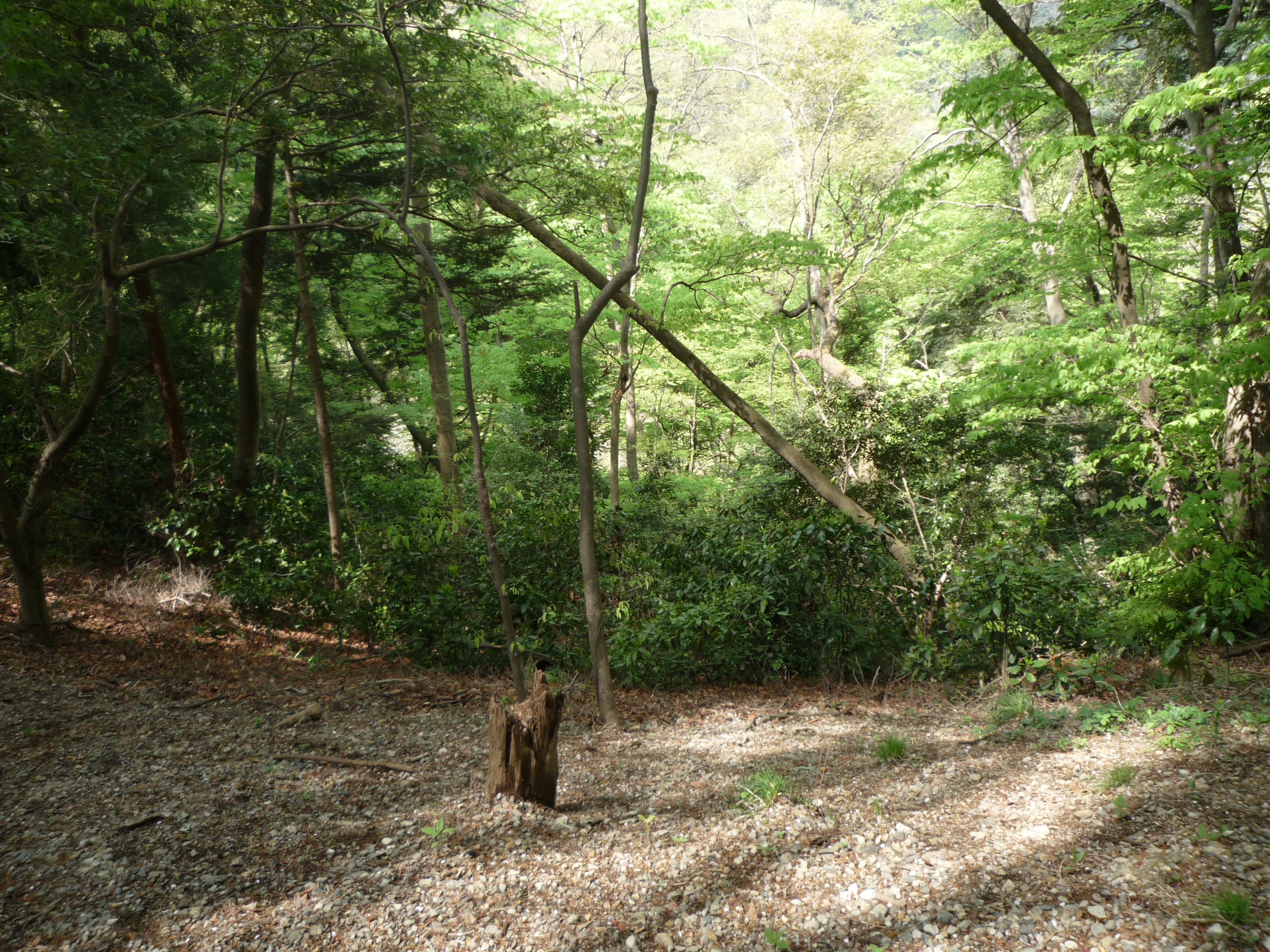 p1000166.jpg
