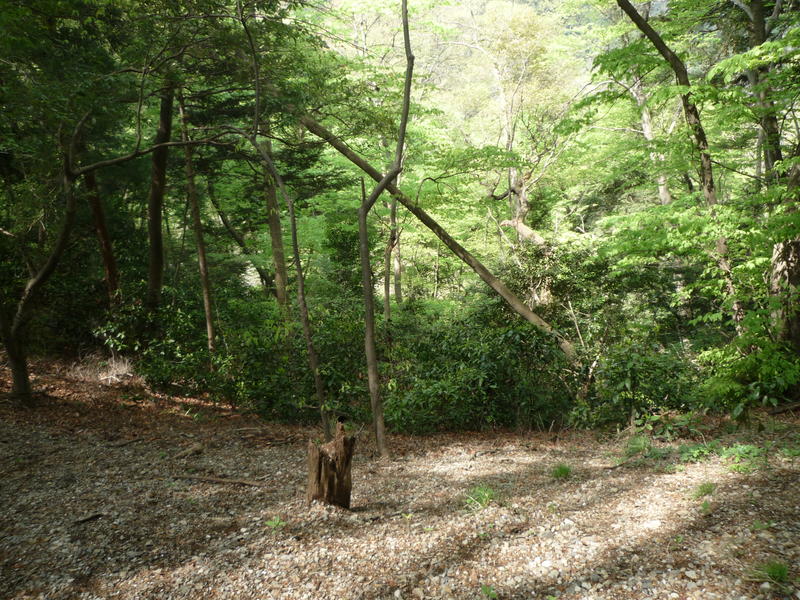 p1000166.jpg
