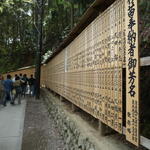 p1000167.jpg