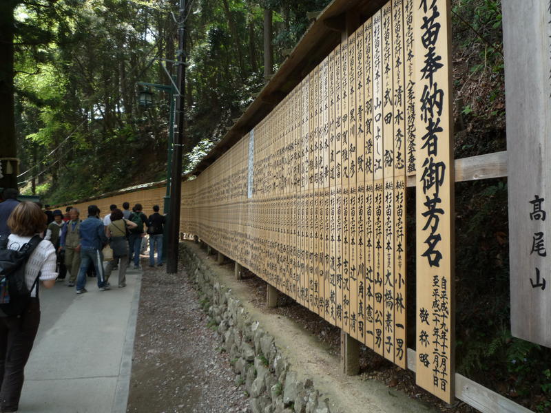p1000167.jpg