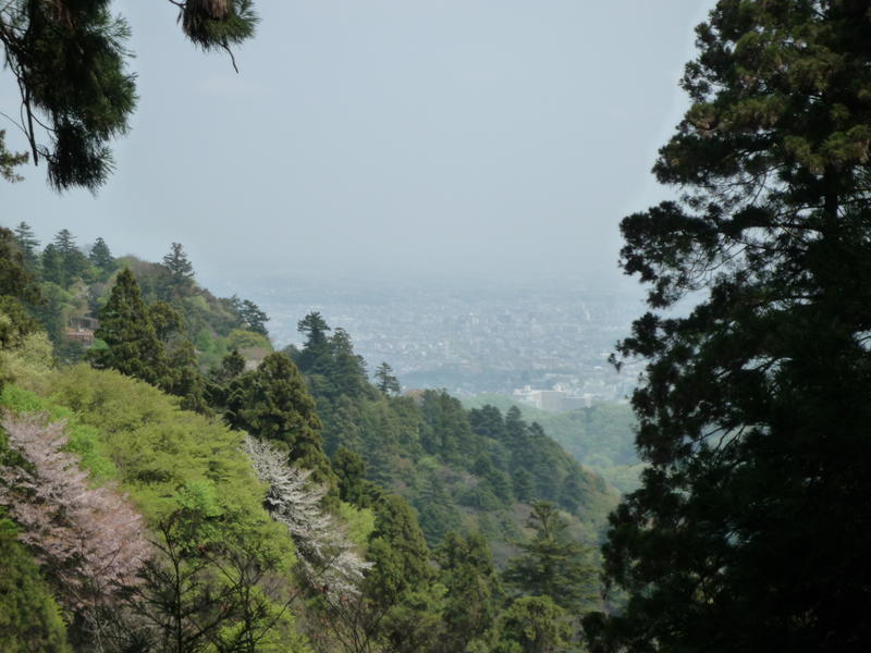 p1000170.jpg