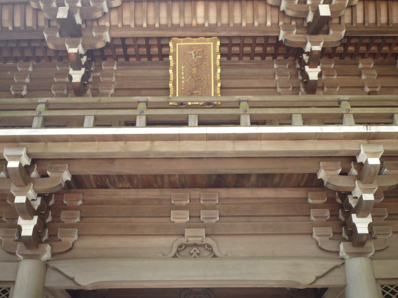 p1000175.jpg