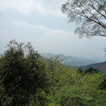 p1000186.jpg