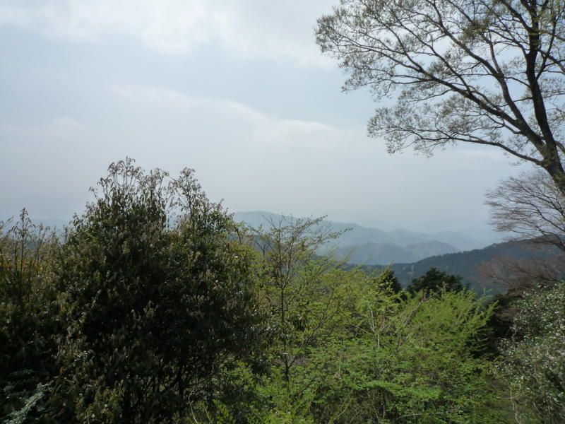 p1000186.jpg