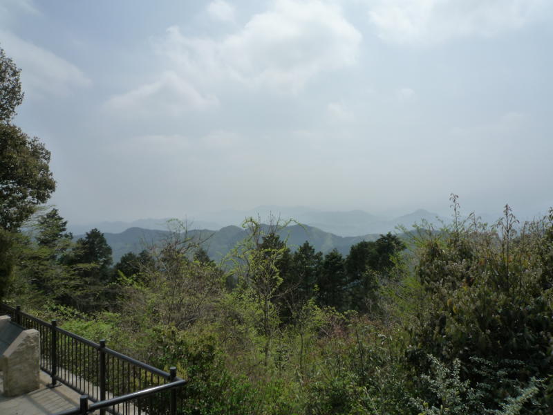 p1000187.jpg
